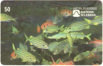 SP-0048 - Corcoroca